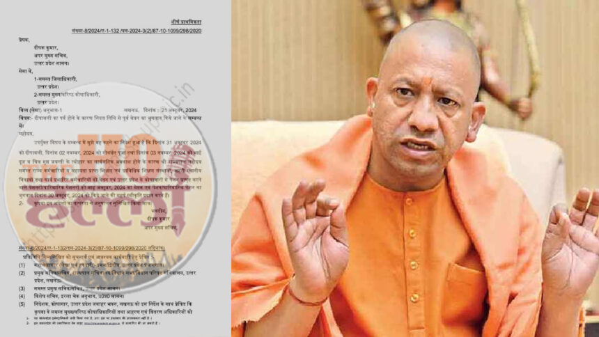 yogi