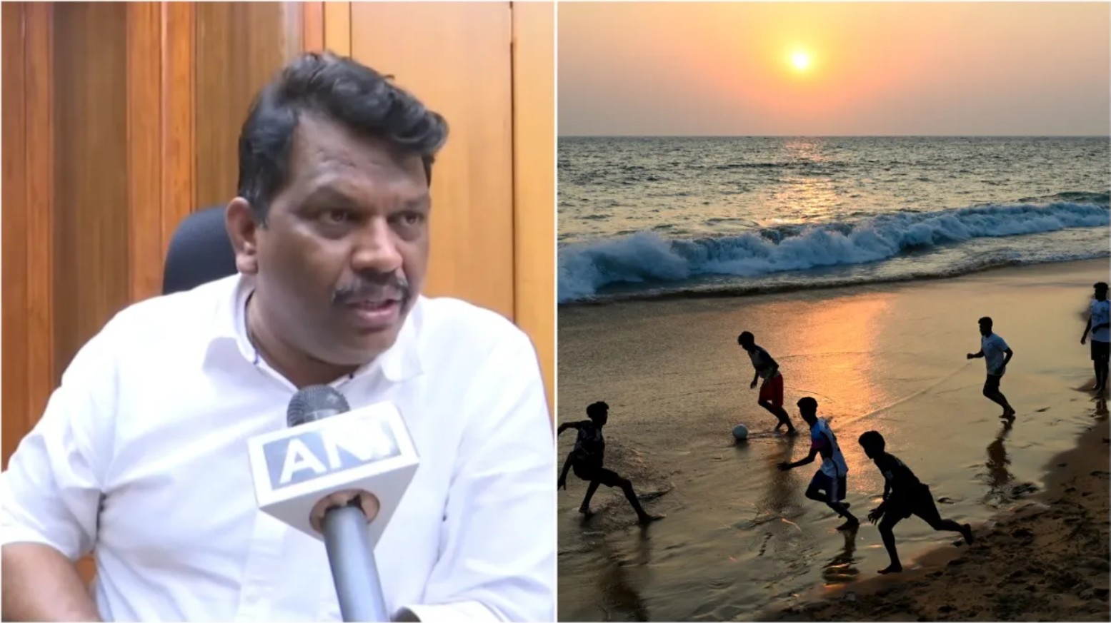 Tourism decreased in Goa due to Idli-Sambhar, Vada Pav, stray dogs: BJP Minister