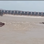 Khandwa: Narmada river in spate due to opening of Omkareshwar and Indira Sagar dam gates, alert issued in low lying areas