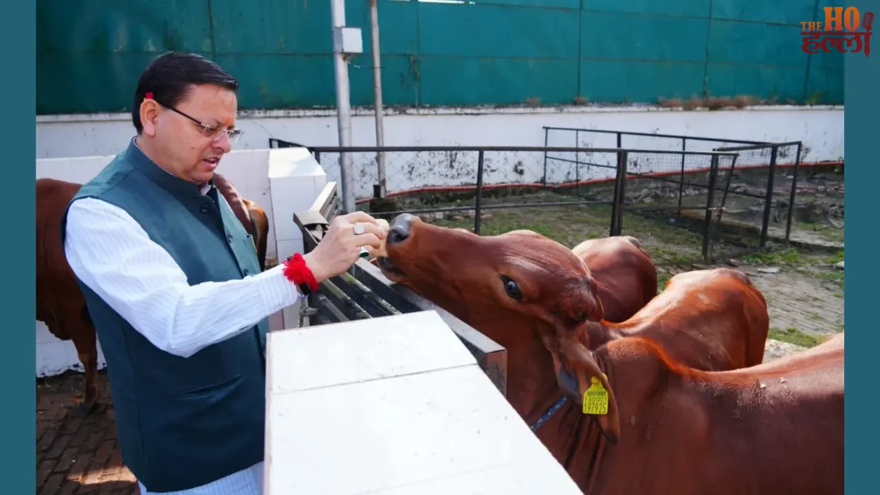 CM Dhami Performs Govardhan Puja