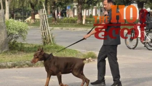 DLF Garden City mohanlalganj