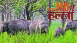 WhatsApp Image 2025-10-28 at 2.03.46 PM