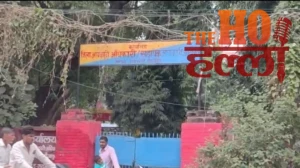 WhatsApp Image 2025-10-29 at 6.30.06 PM (1)