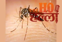 Dengue Outbreak in Sitapur