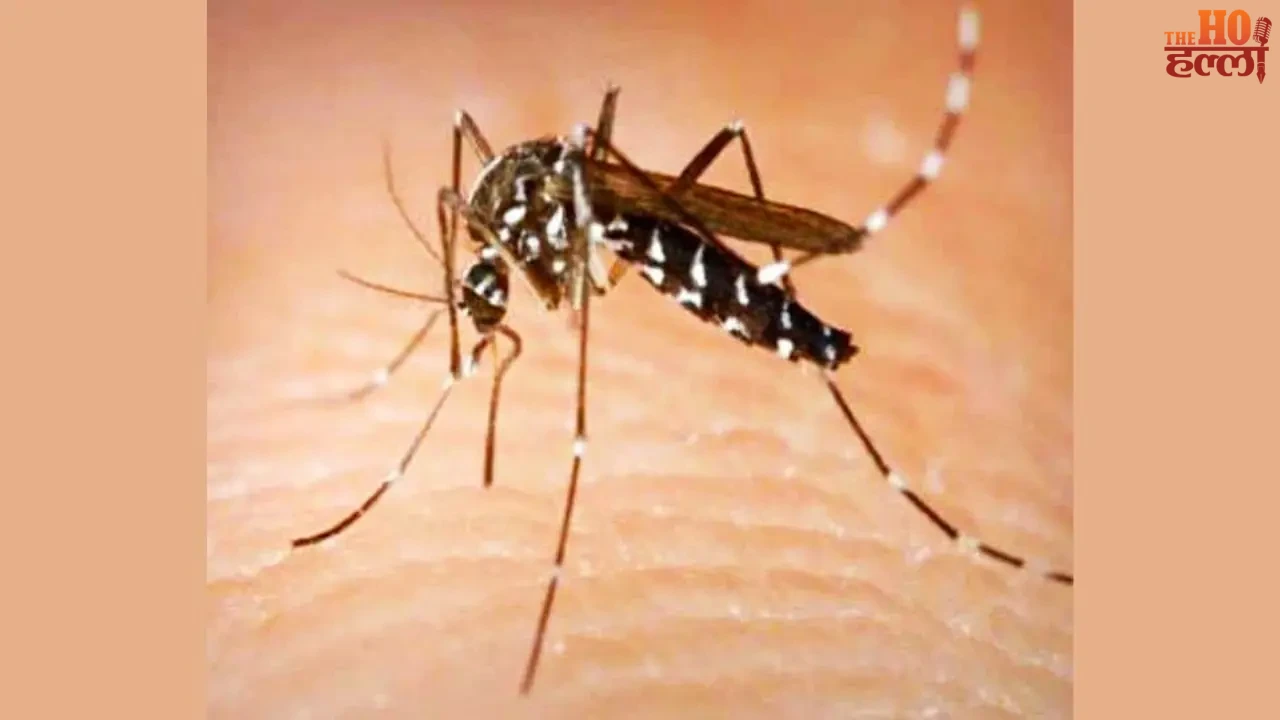 Dengue Outbreak in Sitapur