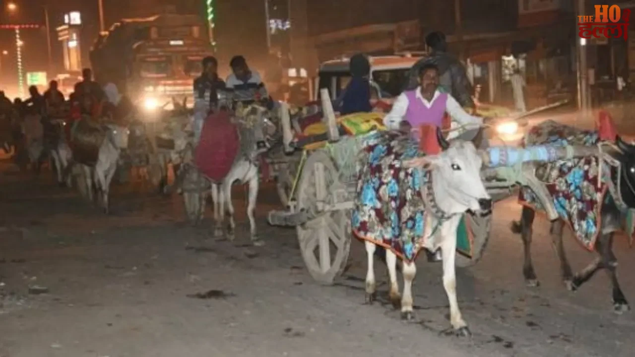 Devotees Head to Ganga Ghat with Bullock Carts