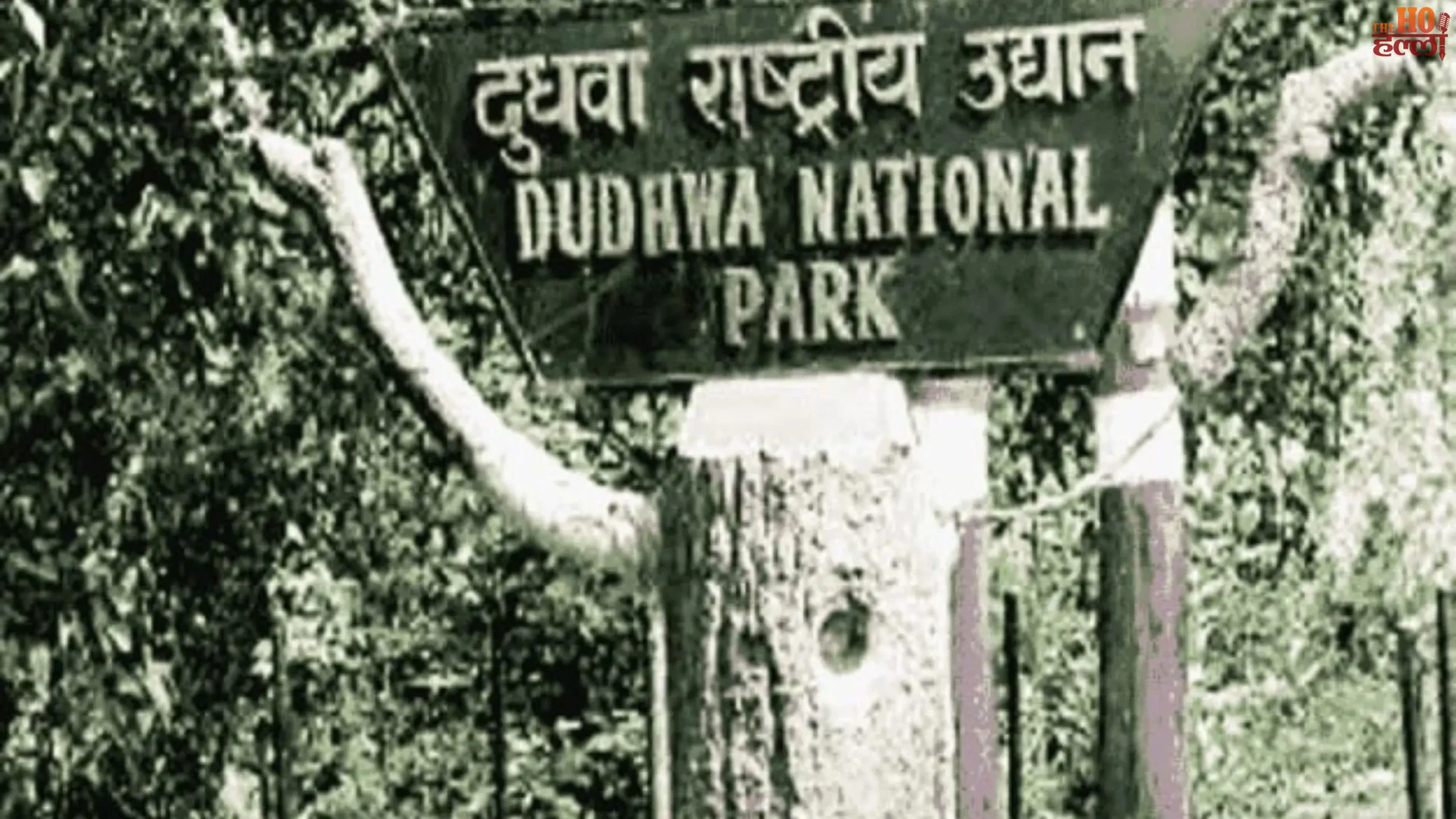 Good News Lucknow to Dudhwa Bus Travel Now Only ₹487 Till Nov 30