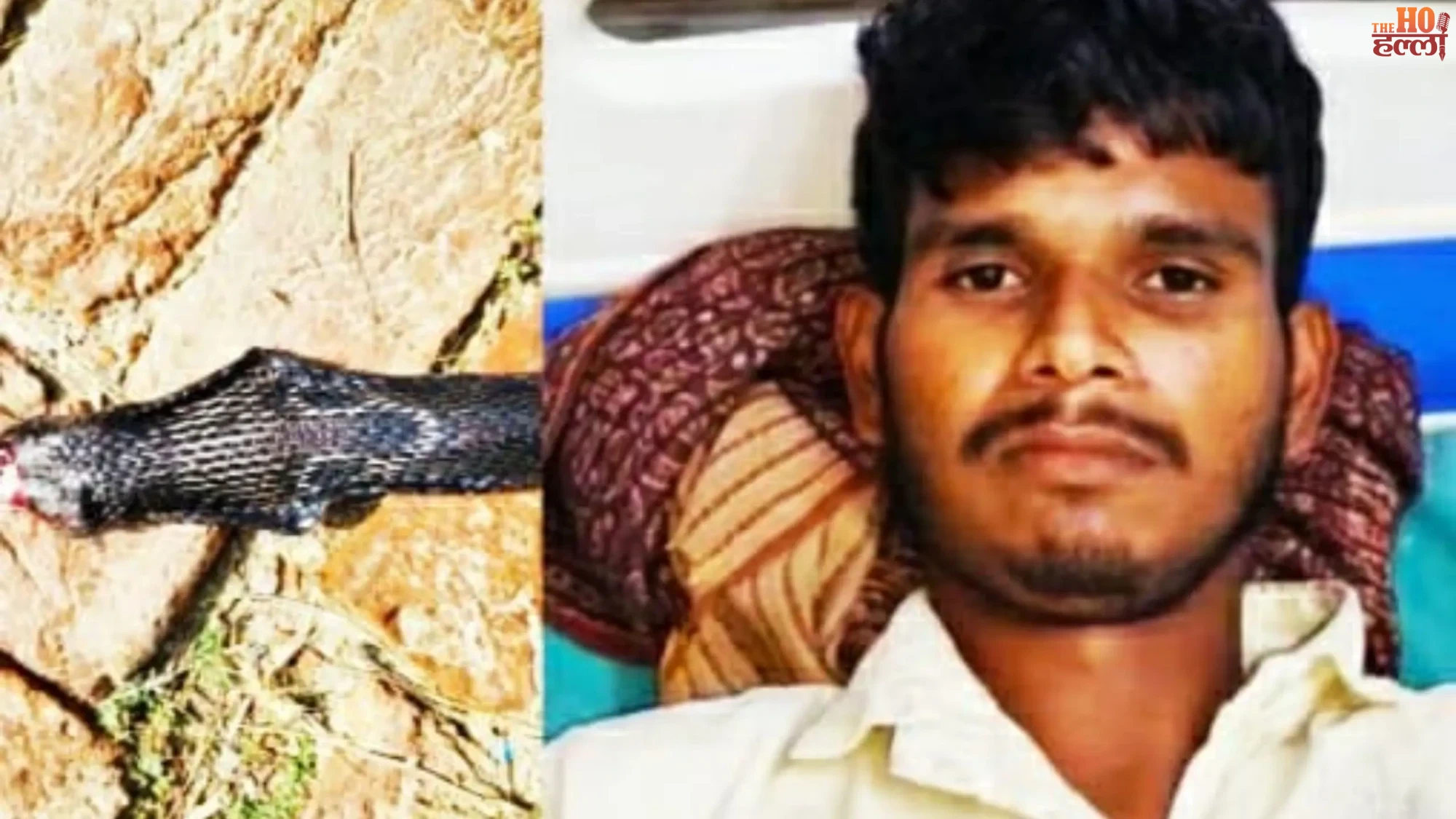 Man Bites Snake’s Head in Bizarre Incident