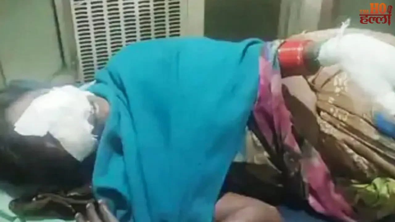 Sitapur Woman Injured in Jackal Attack Amid Tiger Fear