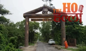 WhatsApp Image 2025-11-04 at 1.29.54 PM