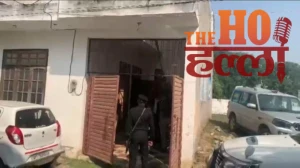 WhatsApp Image 2025-11-11 at 3.15.48 PM