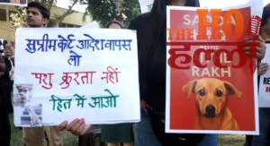 WhatsApp Image 2025-11-16 at 5.57.50 PM