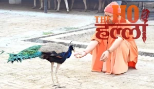 WhatsApp Image 2025-11-18 at 12.47.03 PM