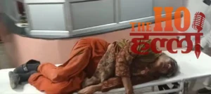 WhatsApp Image 2025-11-19 at 2.46.37 PM