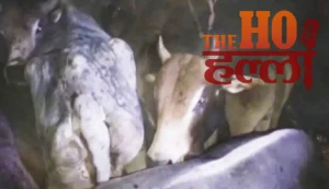 WhatsApp Image 2025-11-27 at 12.54.02 PM