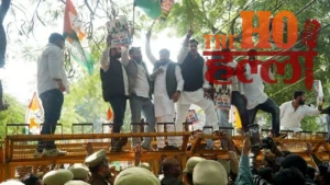 WhatsApp Image 2025-11-27 at 2.29.43 PM