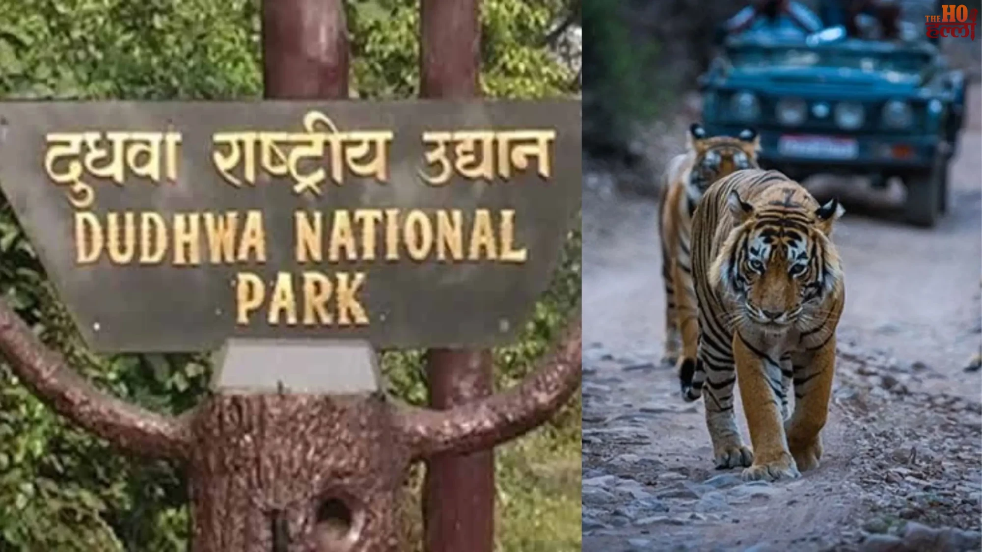 Dudhwa National Park