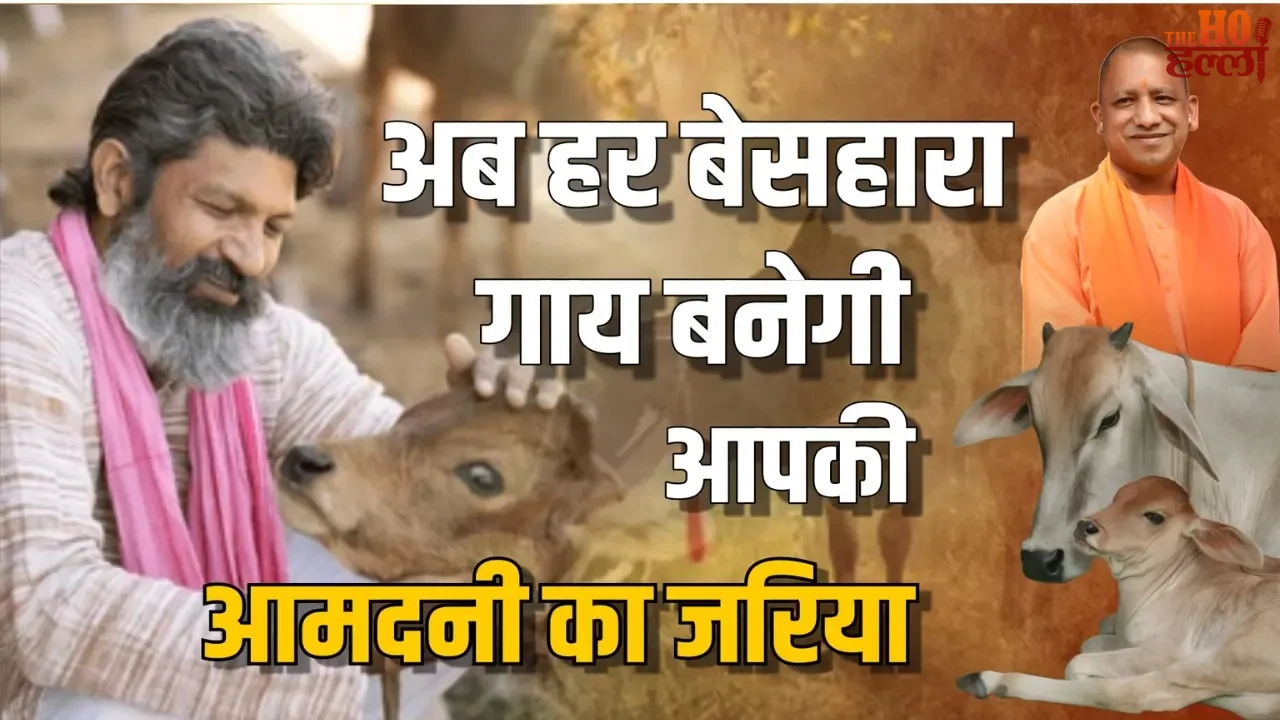 Every destitute cow will become your source of income