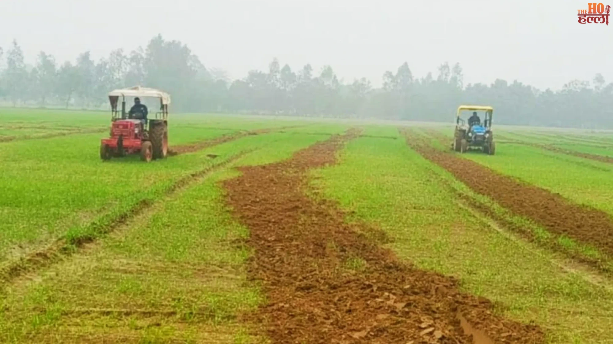 Farmer's Standing Crops Destroyed by Officials