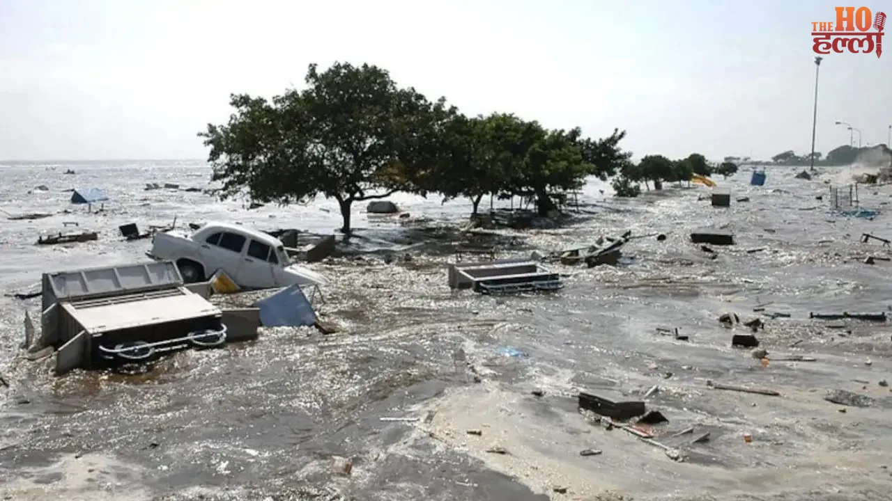 Indian Ocean Tsunami A Reflection on Human Resilience