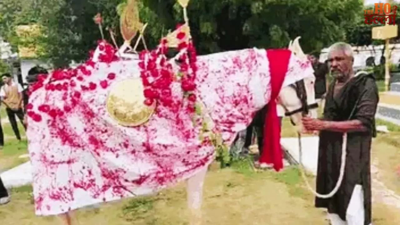 The Holy Horse Zuljuna Stolen from Karbala Incident