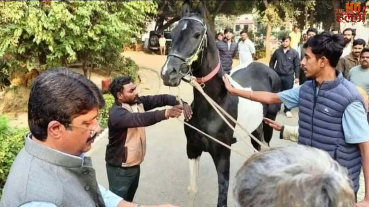 'Vijayraj' Enters Raja Bhaiya's Palace with a Horse