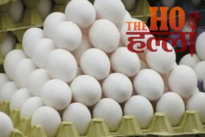 WhatsApp Image 2025-12-16 at 1.23.39 PM