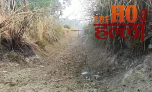 WhatsApp Image 2025-12-19 at 2.43.53 PM