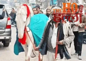 WhatsApp Image 2025-12-29 at 1.58.44 PM