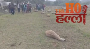 WhatsApp Image 2025-12-29 at 4.56.32 PM