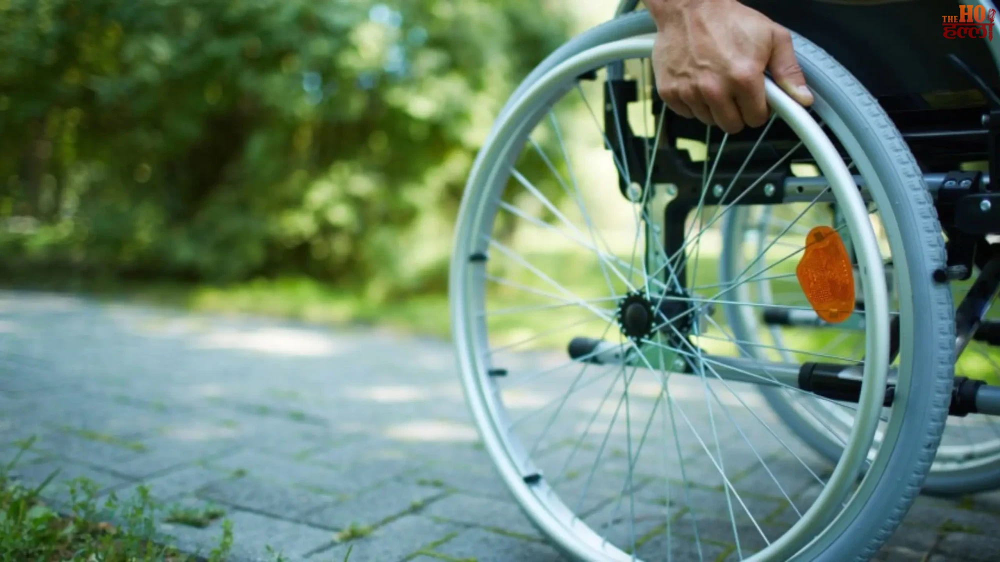 World Disability Day 2025 How a 1981 Initiative Became Global