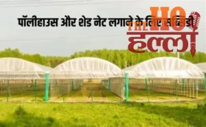 850b322d-e916-4f26-b84d-f0edd10d42f4