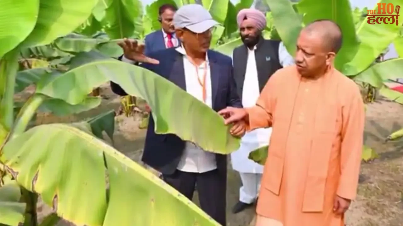 Barabanki Farmer National Identity and Innovation