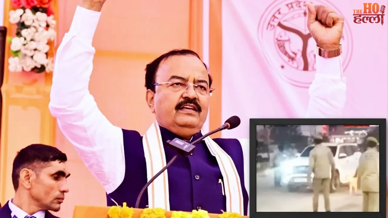 Cow Collides with Deputy CM's Convoy No Injuries Reported