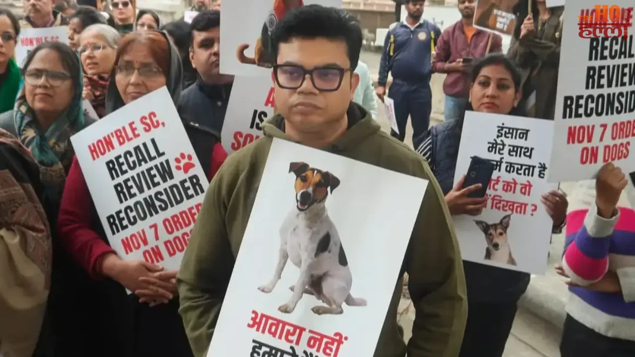 Human Chain in Lucknow Demonstrates for Street Dogs