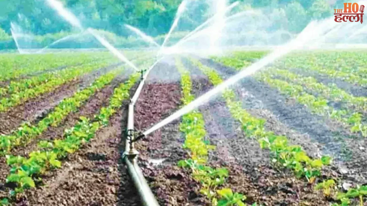Micro Irrigation to Be Promoted in UP for Farmers