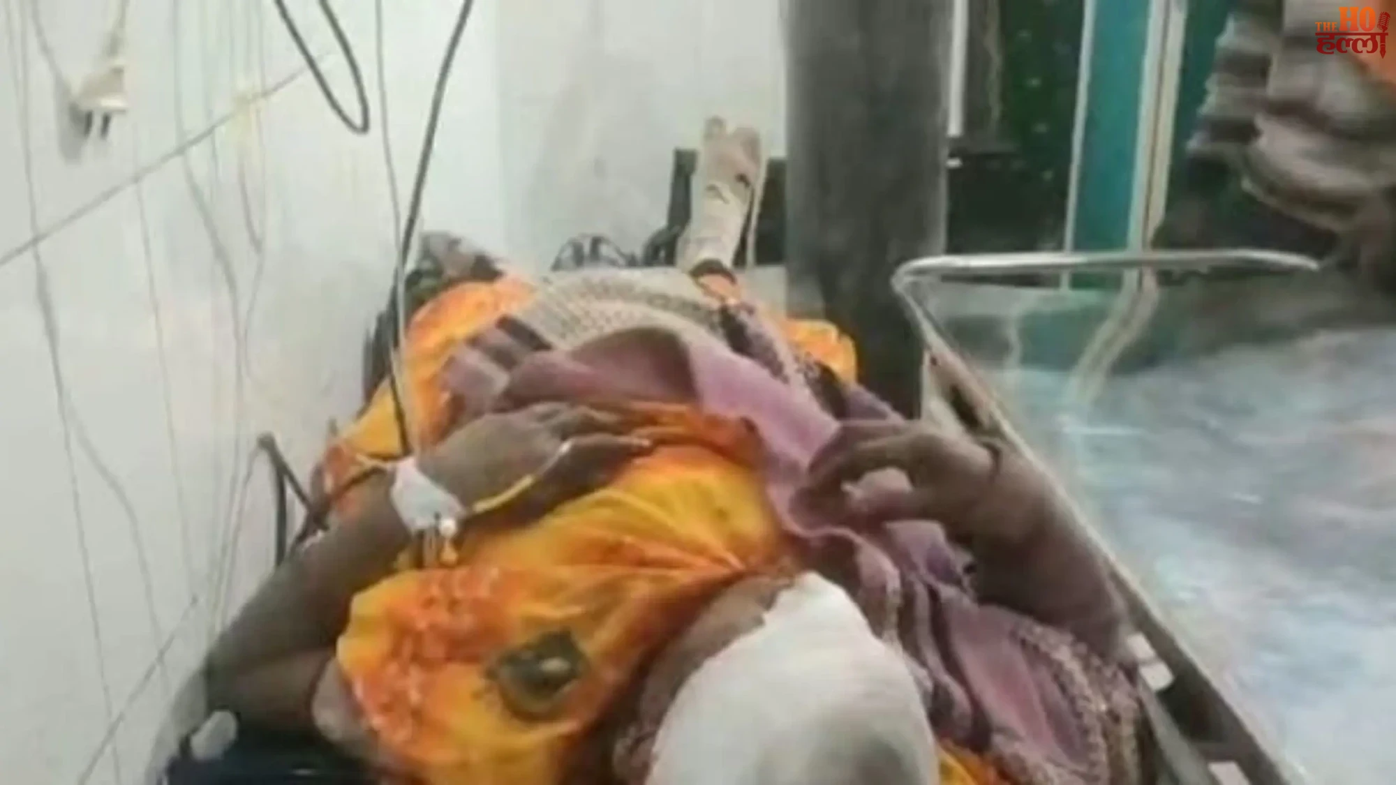 Monkey Menace Scared Woman Jumps to Escape Attack