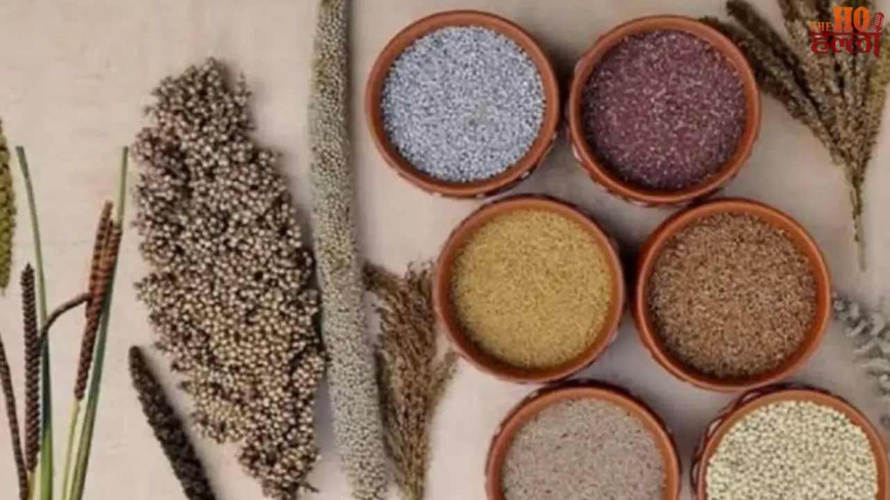 Record Purchase of 'ShriAnna' Surpasses Expectations