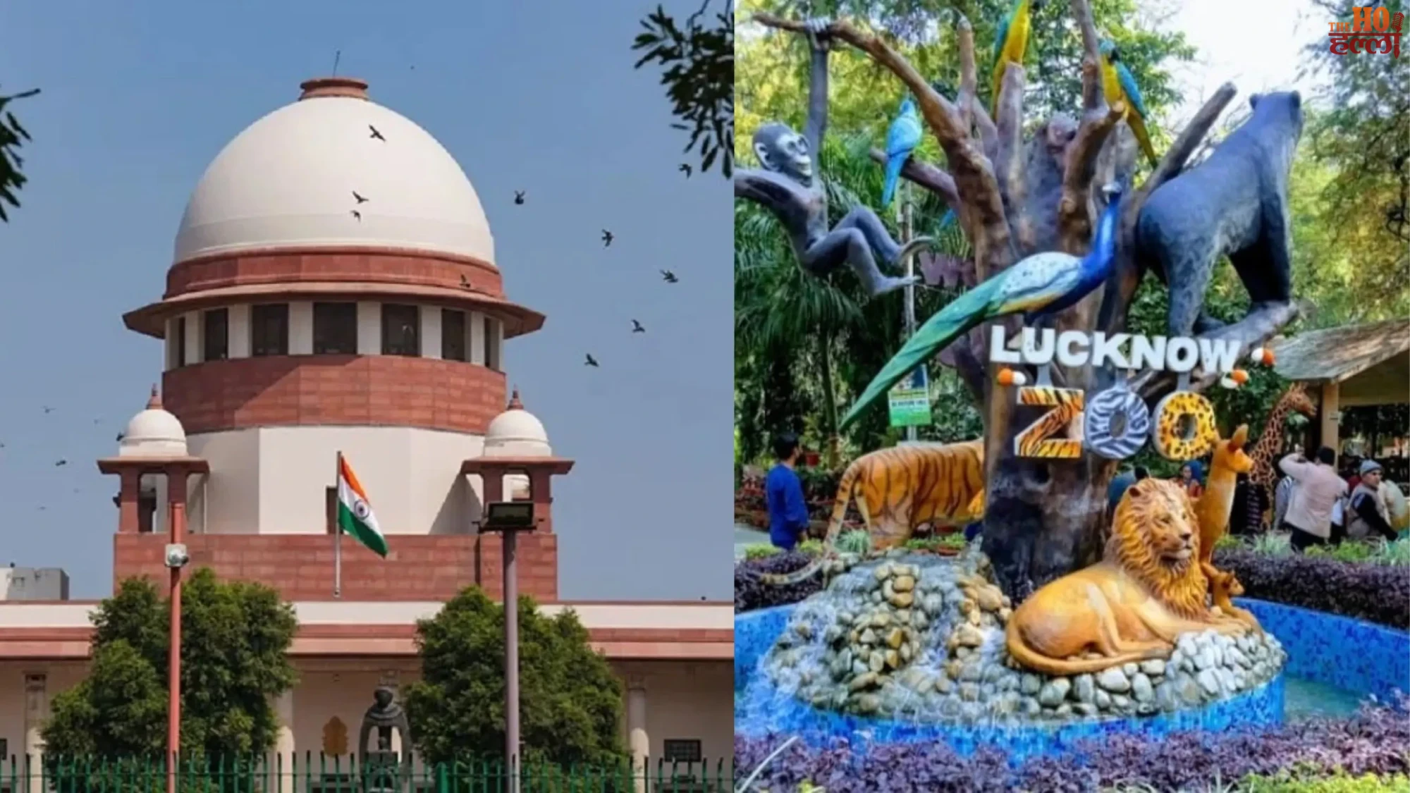 SC Committee Stays Lucknow Zoo Shifting News Today