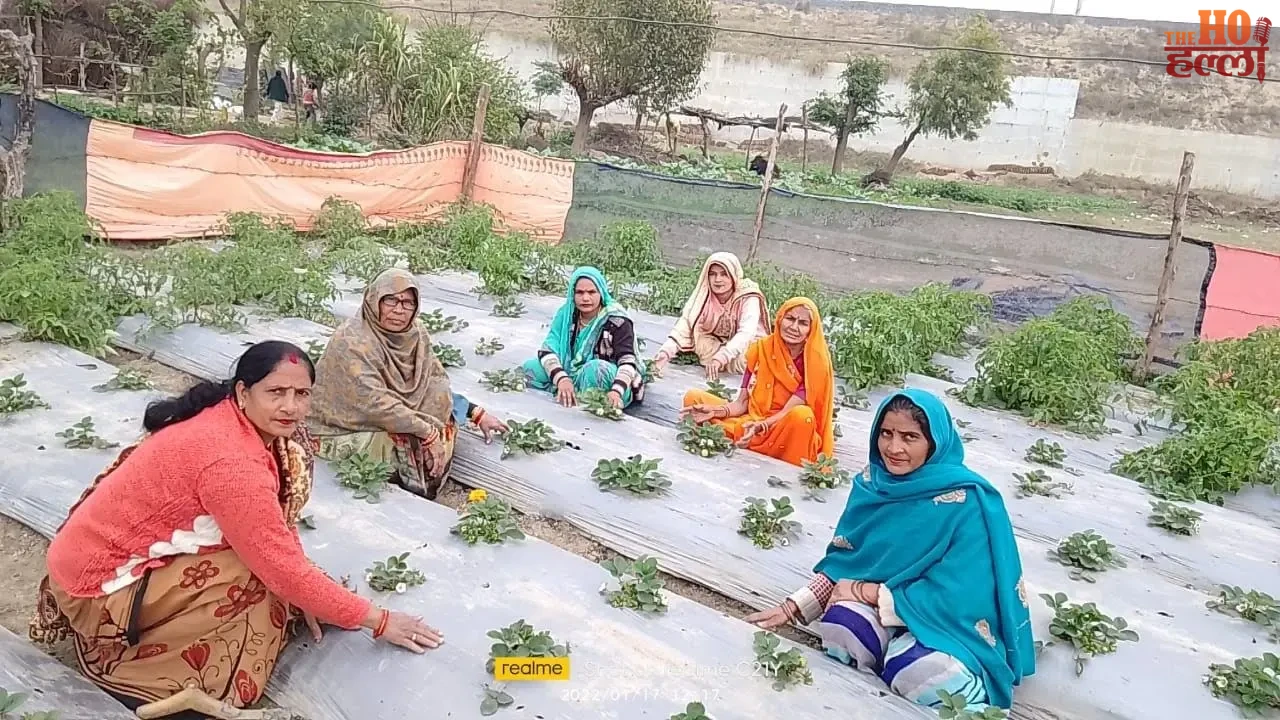 Soaring self-reliance through modern farming