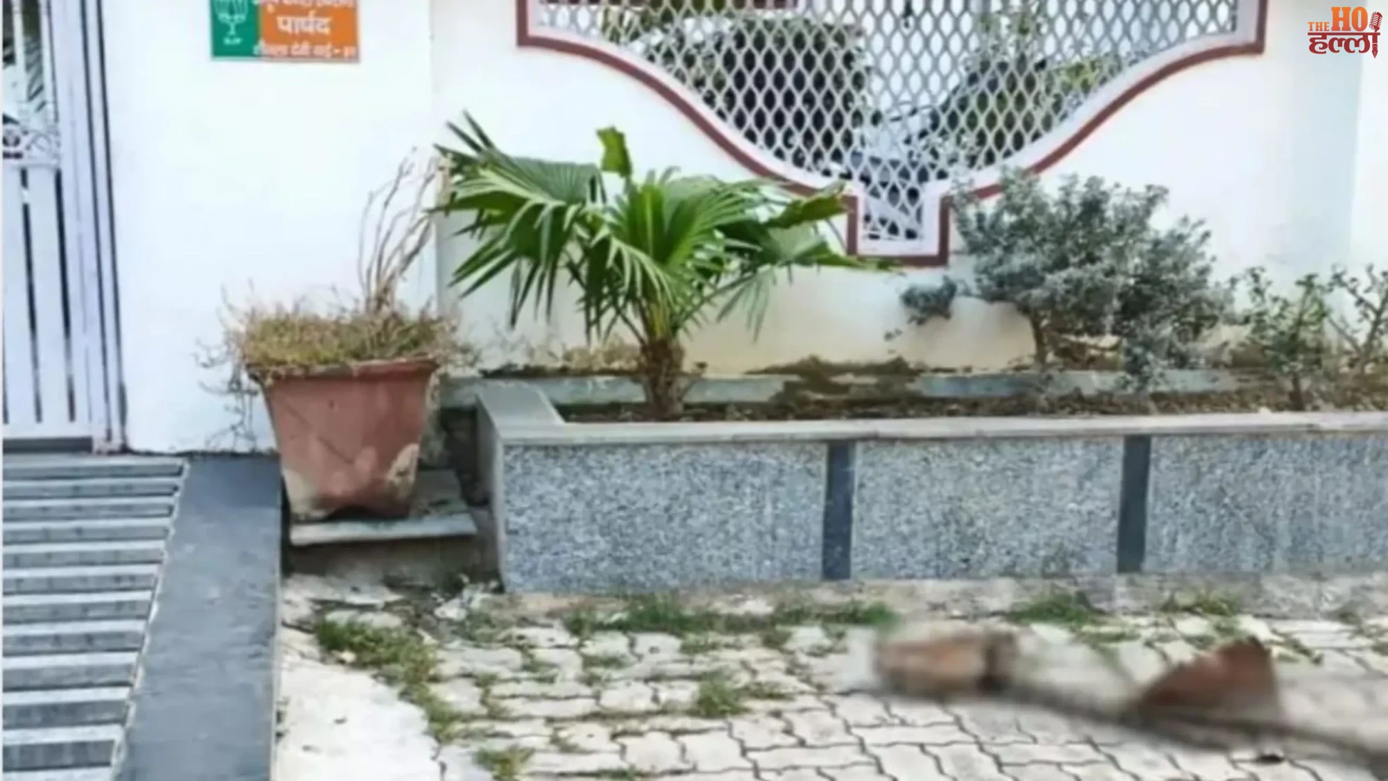 Tension in Lucknow as Severed Cattle Head Discovered