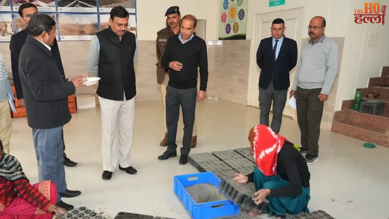 Uttarakhand Government's Focus on Aromatic Crops