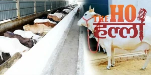 WhatsApp Image 2026-01-08 at 11.45.35 AM