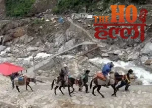 WhatsApp Image 2026-01-16 at 5.21.40 PM