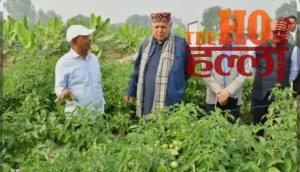 WhatsApp Image 2026-01-28 at 4.36.11 PM (1)