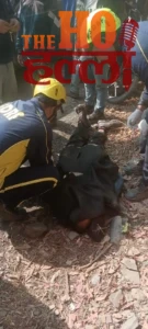 0c2334b7-55ff-4b8c-a658-cce9b0232a3a