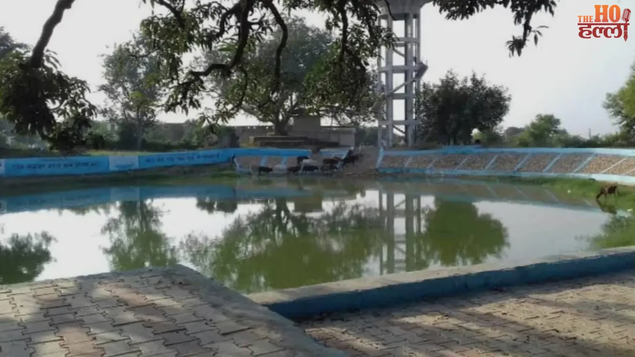 100 'Model Ponds' in Every District of UP for Health
