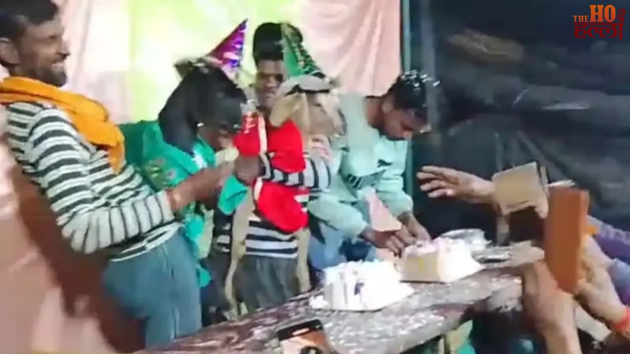 Goat's Birthday Turns into a Village Festival Extravaganza