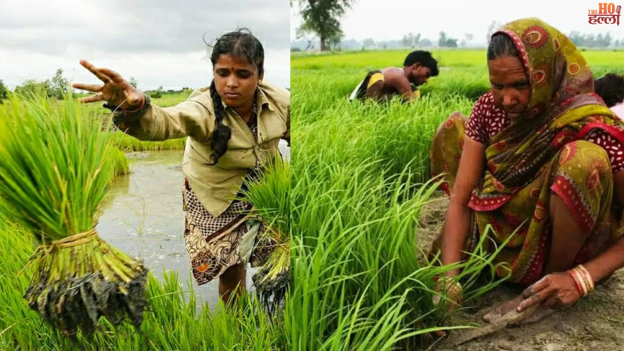 Natural Farming in UP A Sustainable Future