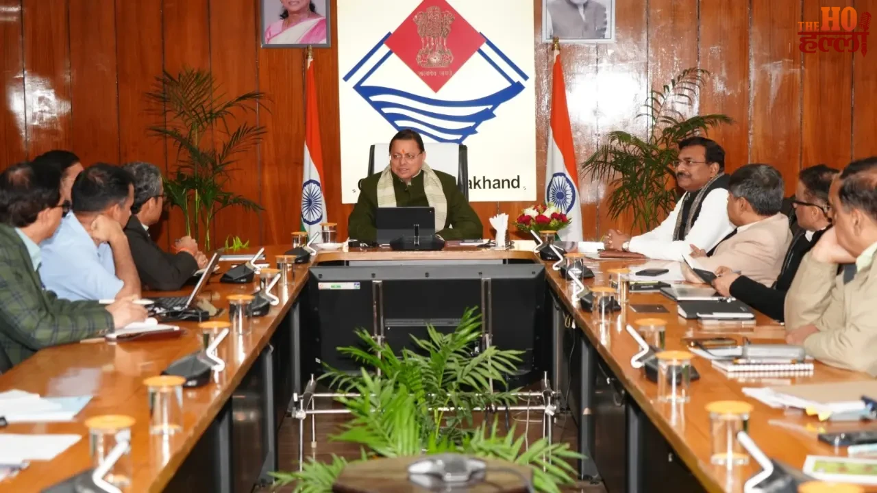 Skills Are There but No Job Addressing Employment Gaps